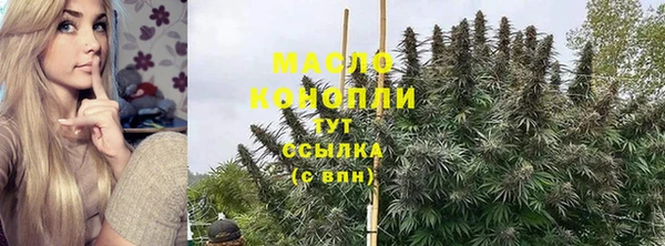 мет Бородино